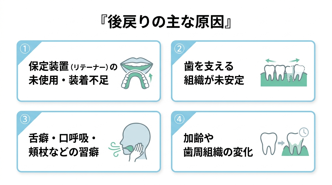 なぜ後戻りが起こるのか｜歯が動く仕組みと主な原因