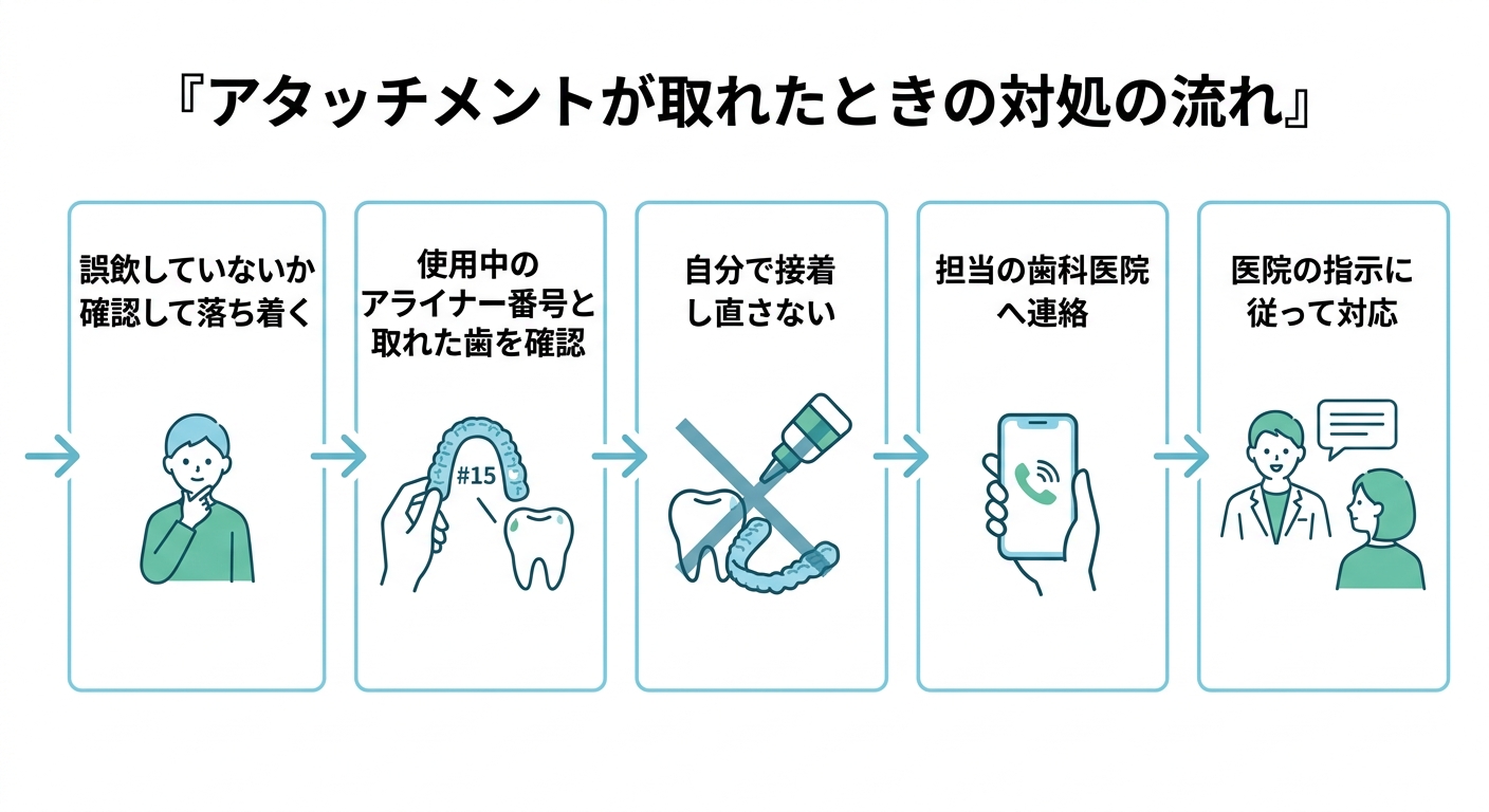 自己判断で放置・自分で接着し直さず、担当の歯科医院へ連絡する
